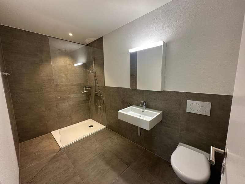 Moderne 2.5-Zimmer-Wohnung im Erdgeschoss in Hirschthal – ab sofort verfügbar! (6)