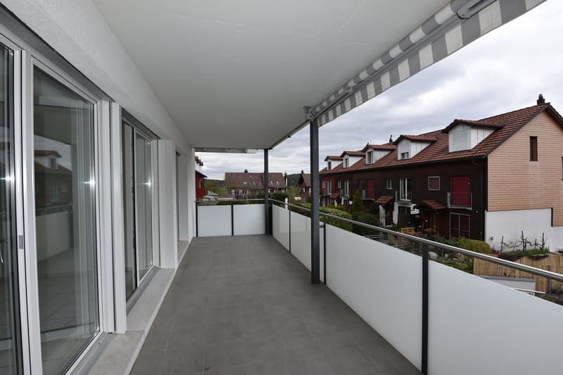 Sonnige 3.5 Zimmerwohnung (2)