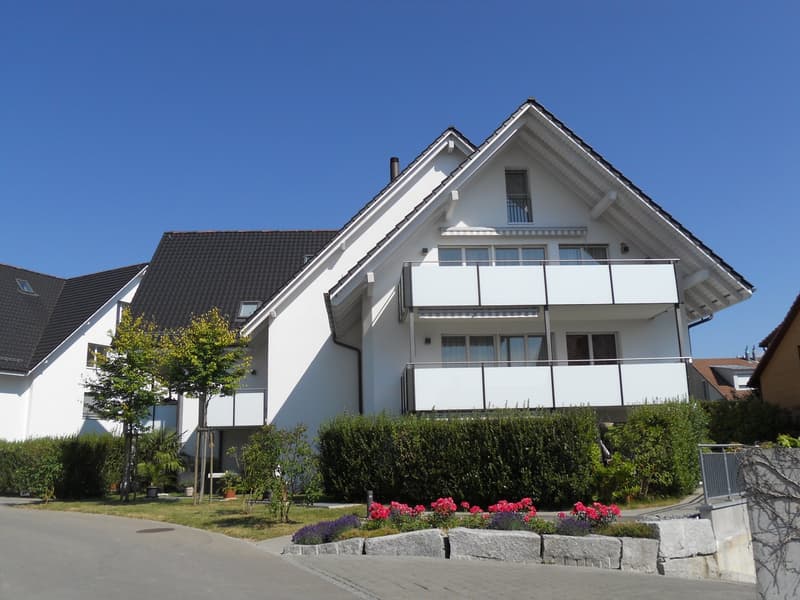 Sonnige 3.5 Zimmerwohnung (1)