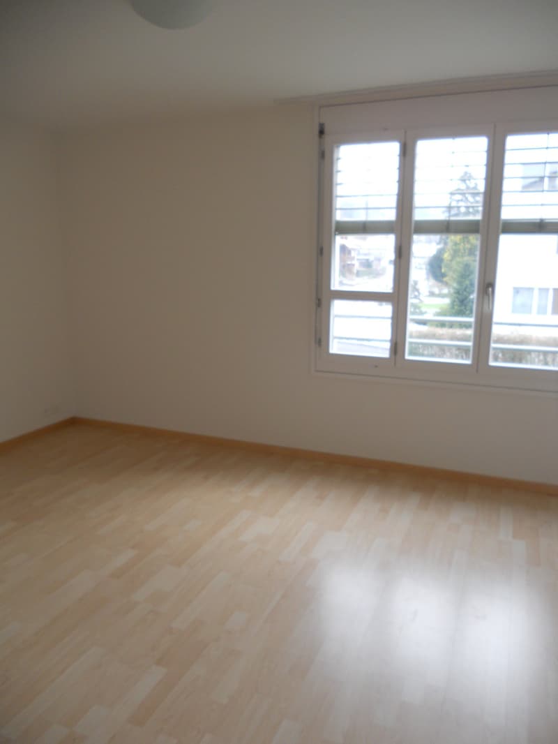 Sonnige, helle Wohnung mit Cheminée! (7)