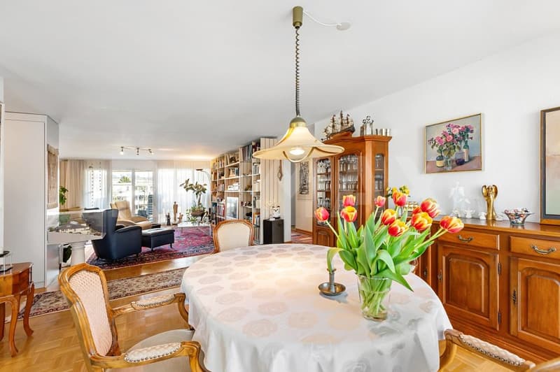 Grosszügige 4.5(-5.5)-Zi.-Wohnung im 2. OG mit Aussicht (5)