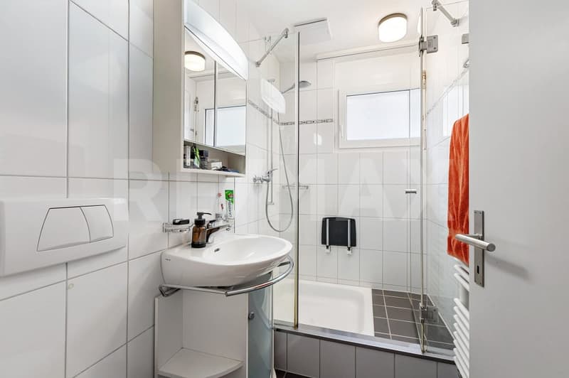 Grosszügige 4.5(-5.5)-Zi.-Wohnung im 2. OG mit Aussicht (12)