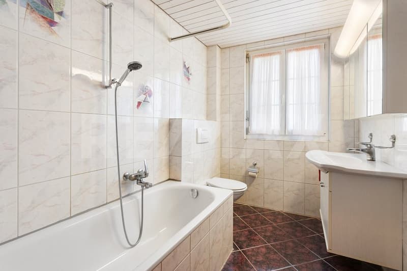 Naturnahes 6.5-Zi.-Einfamilienhaus mit viel Umschwung (10)