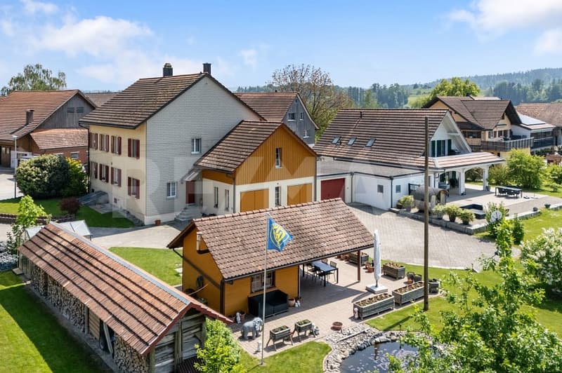 Naturnahes 6.5-Zi.-Einfamilienhaus mit viel Umschwung (2)