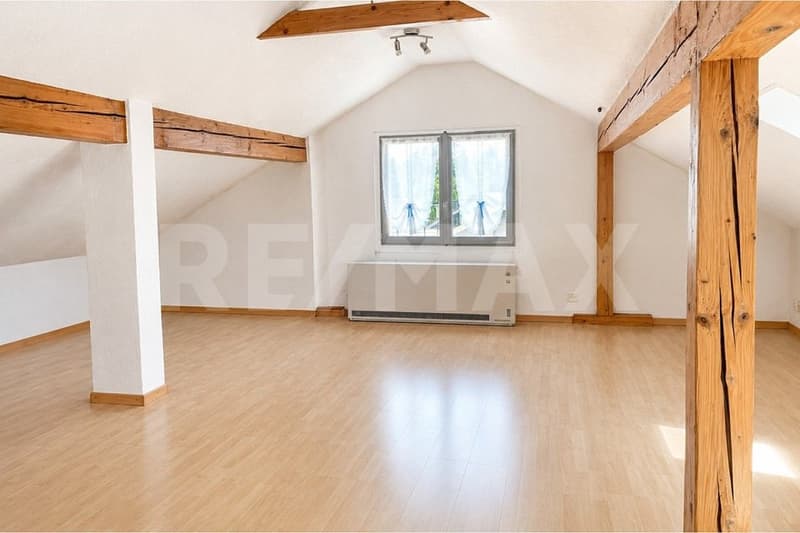 Freistehendes 8-Zi.-Einfamilienhaus mit idyllischer Gartenanlage (8)