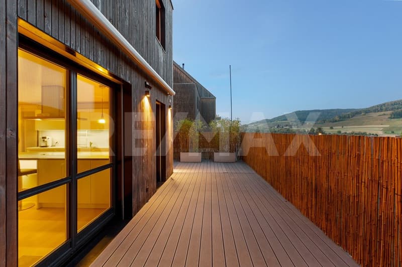 Exklusives 5.5-Zi.-Doppeleinfamilienhaus mit fantastischer Aussicht (11)