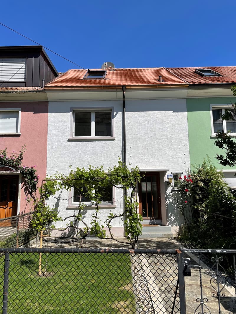 Schönes 2-Zimmer-Reiheneinfamilienhaus in Basel (1)