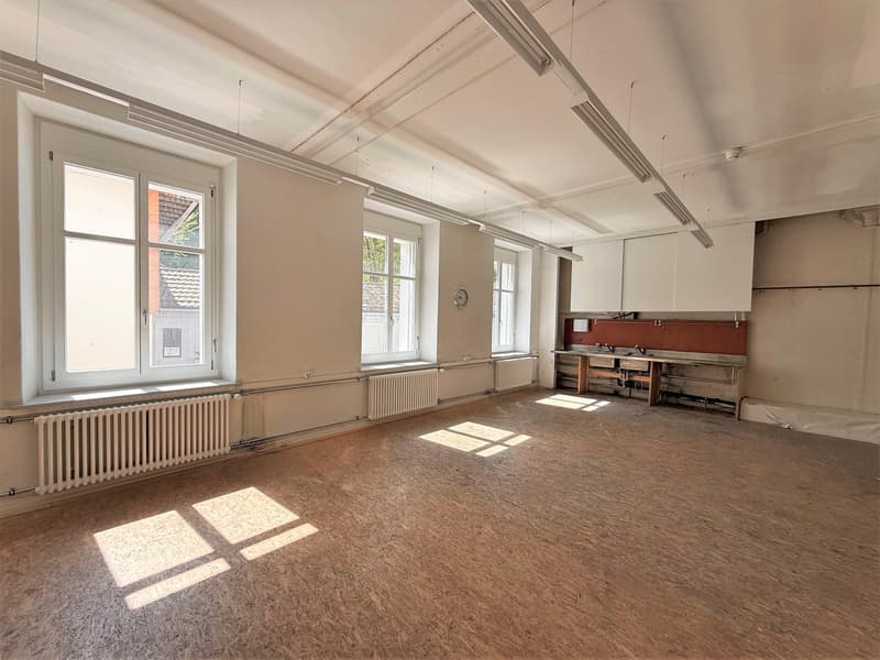 Vielseitige Büro-/Gewerberäume auf dem Hanroareal (5)