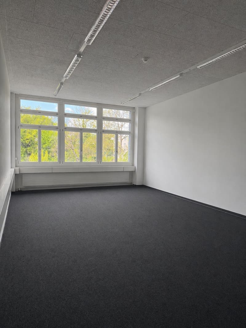 Vielseitige Büro-/Gewerberäume auf dem Hanroareal (4)
