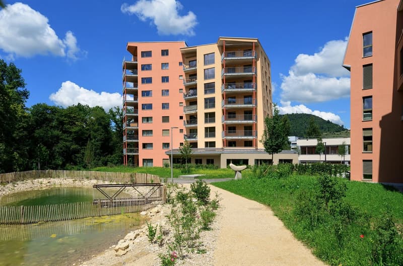 Two modern apartment buildings, outdoor landscape with pond, paved walkway, trees, grass, street lights