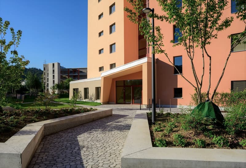 Cobblestone walkway, concrete benches, trees, orange-painted building, glass windows, large entrance doors, streetlight, surrounding gardens and shrubs