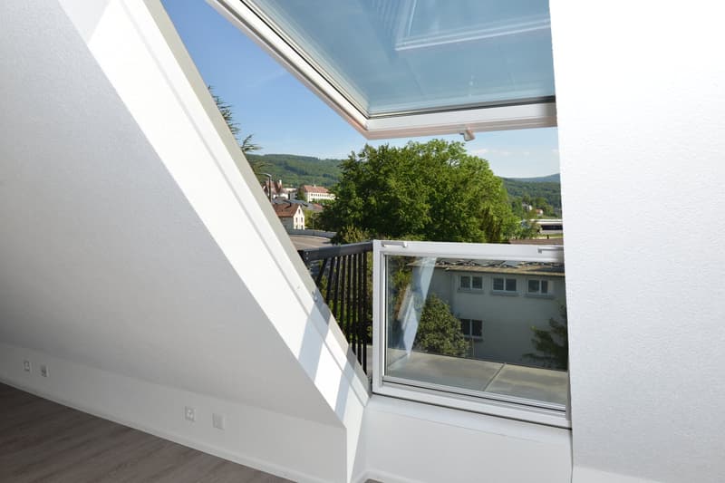 Dachfenster