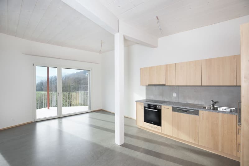 Schöne 3.5-Zimmerwohnung im Grünen (2)