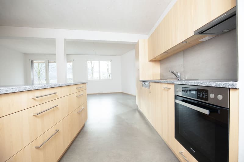 Attraktive 4.5-Zimmerwohnung im «Frenken-Garten» in Liestal (3)