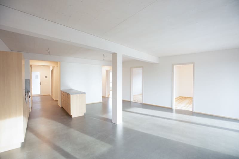 Attraktive 4.5-Zimmerwohnung im «Frenken-Garten» in Liestal (2)