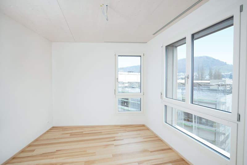 Attraktive 4.5-Zimmerwohnung im «Frenken-Garten» in Liestal (5)