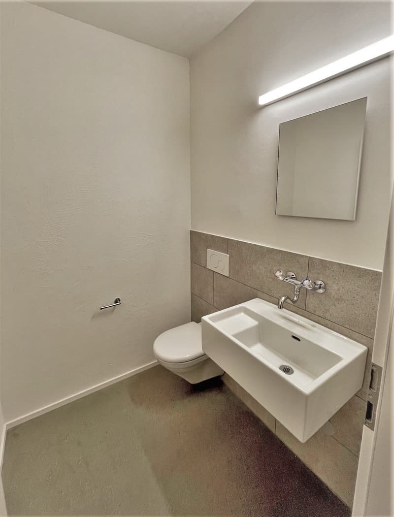 Hobbyraum mit Toilette in Liestal zu vermieten (4)
