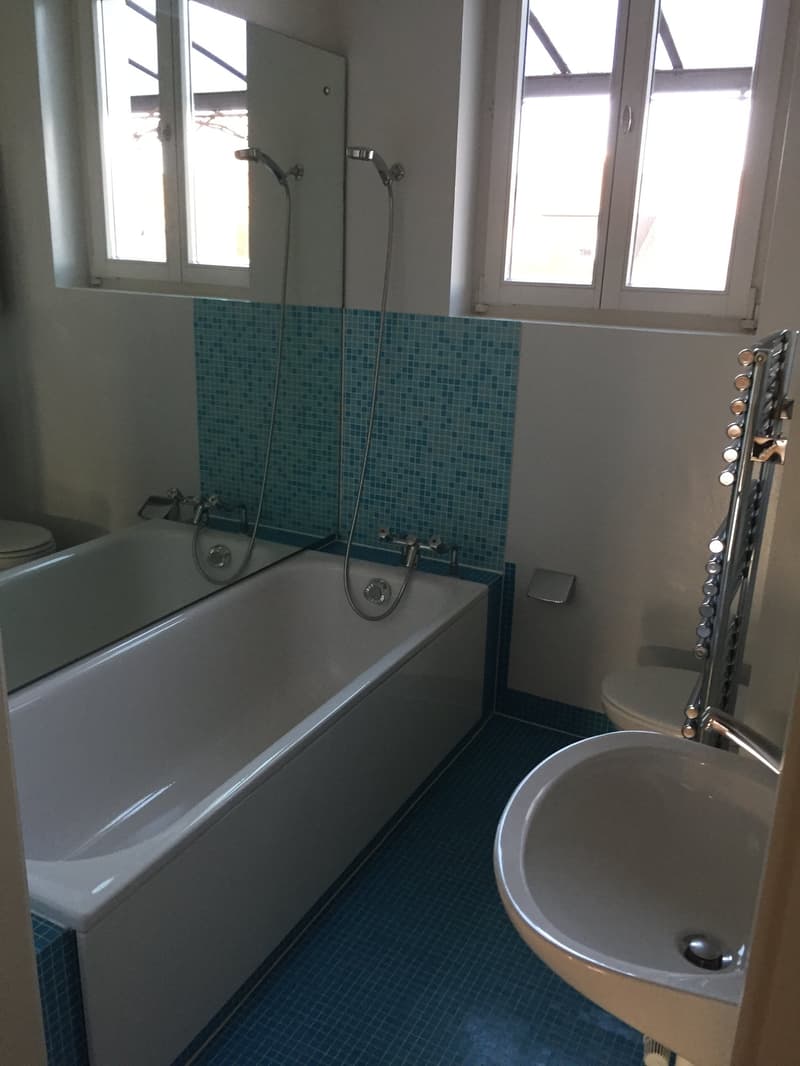 Schöne 3-Zimmer Altbauwohnung mit Balkon und Mansarde (8)