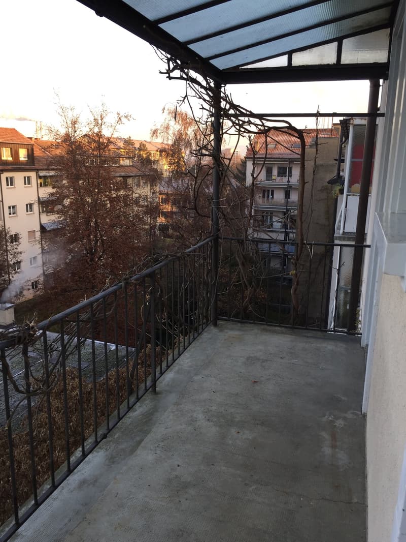 Schöne 3-Zimmer Altbauwohnung mit Balkon und Mansarde (9)