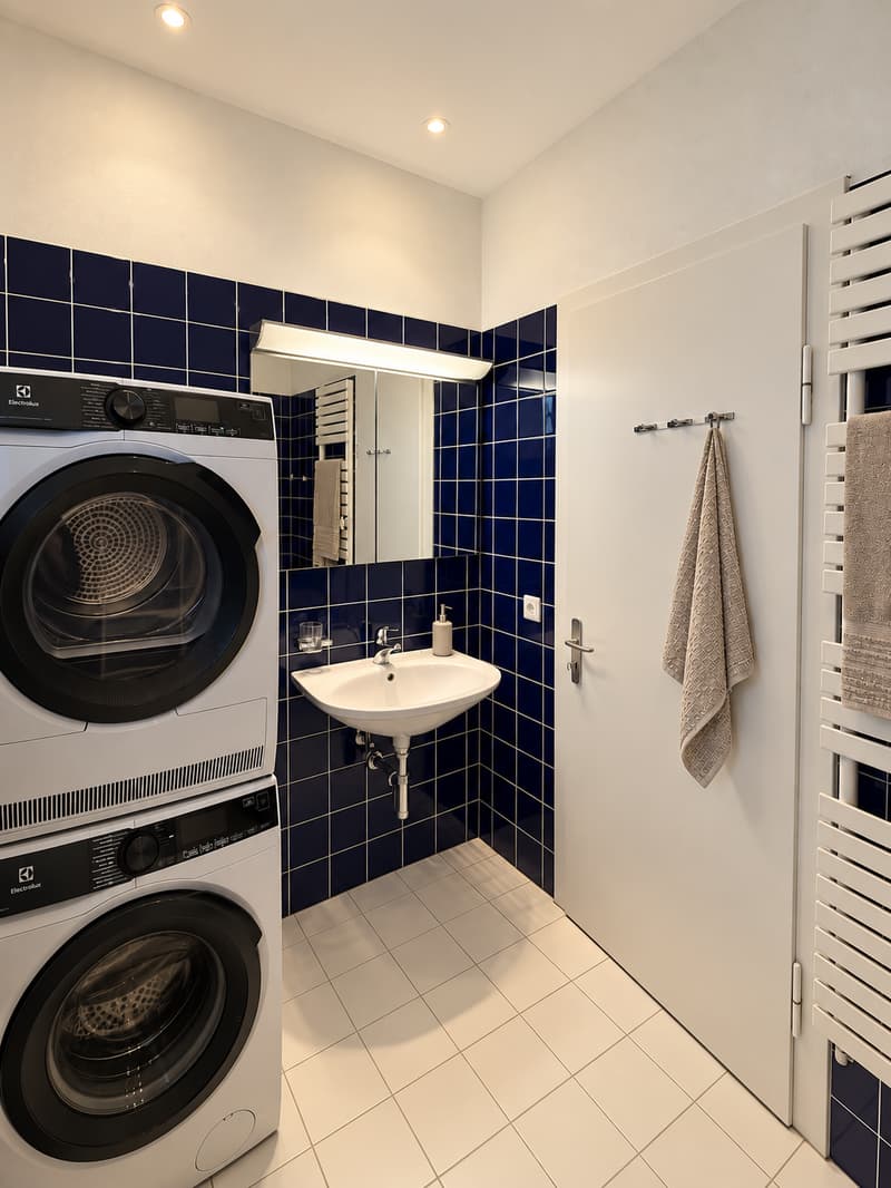 Charmante 4.5-Zimmer-Wohnung mit Terrasse in Dornach (6)