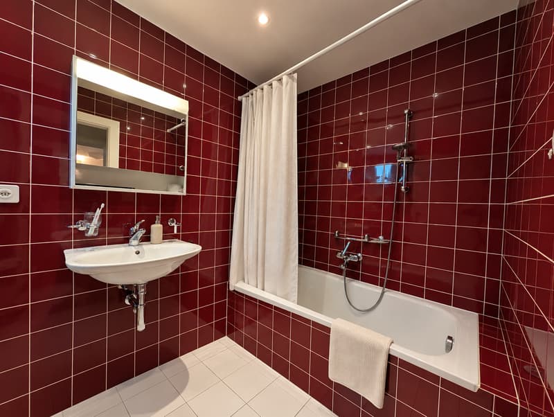 Gemütliche 3.5-Zimmer-Wohnung  in Dornach (4)