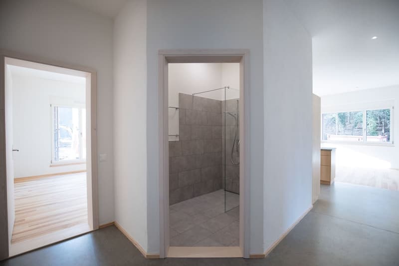 Helle 4.5-Zimmer-Wohnung mit Blick ins Grüne (6)