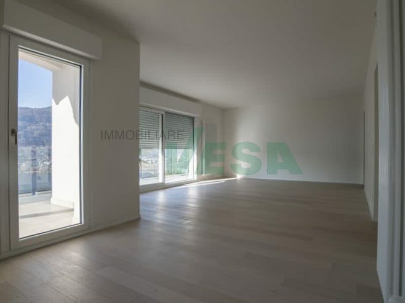Splendido attico di 4,5 locali con spettacolare vista lago (3)