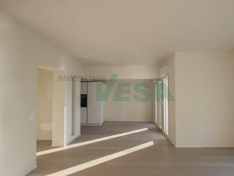 Splendido attico di 4,5 locali con spettacolare vista lago (4)