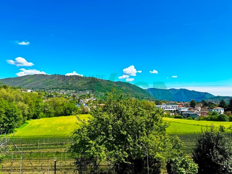 Spaziosa villa con piscina e splendida vista panoramica sui vigneti (1)