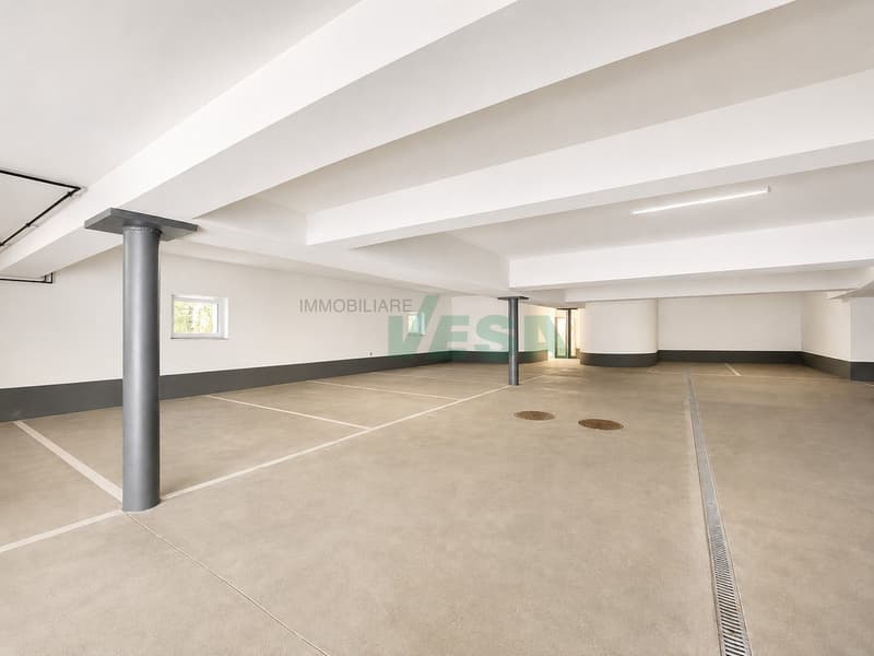 Bel appartamento 6,5 locali con giardino in tranquilla zona collinare (12)