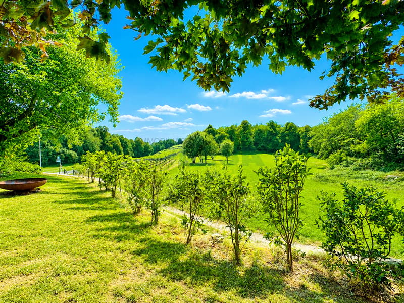 Elegante e spaziosa villa con appartamento bilocale e grande giardino (13)