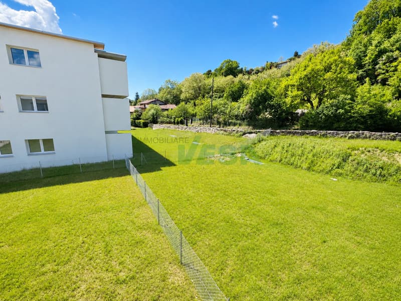 Nuovo e luminoso appartamento di 3,5 locali con grandissimo giardino (3)