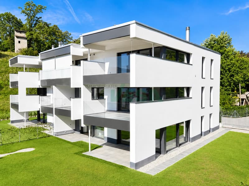 Luminoso appartamento 4,5 locali con terrazza e bel giardino privato (2)