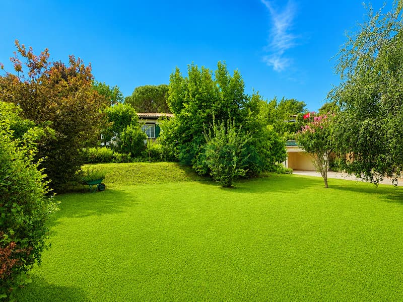 Accogliente casa unifamiliare su un unico piano con ampio giardino (5)