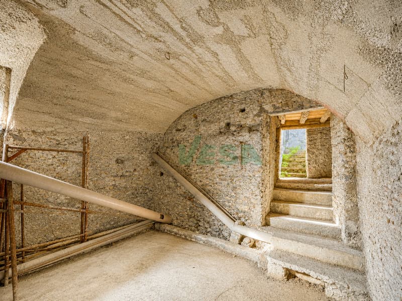 Splendida proprietà con antico palazzo, casetta rustica e bel giardino (10)