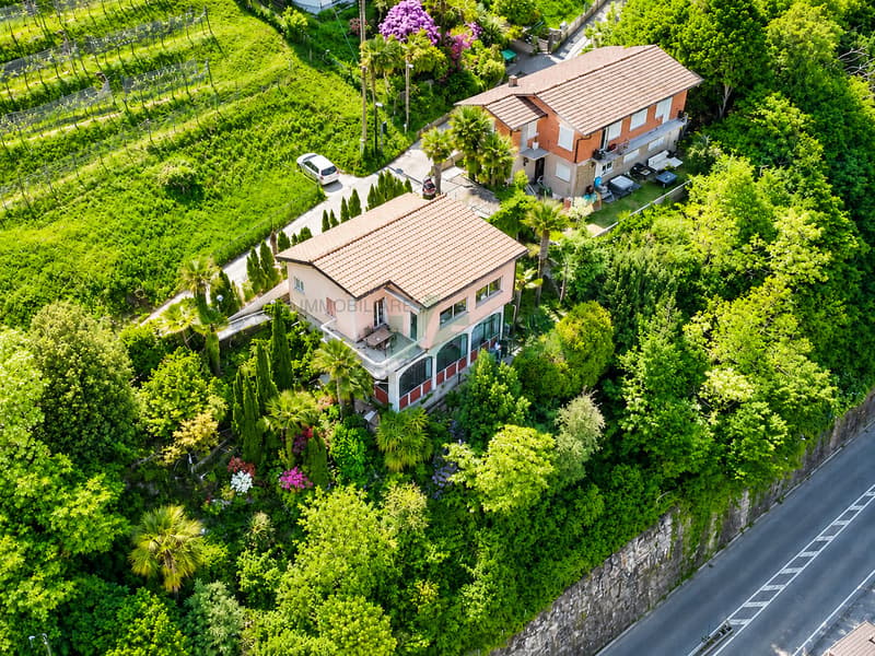 Bellissimo terreno con una spettacolare vista sulla baia di Lugano (2)