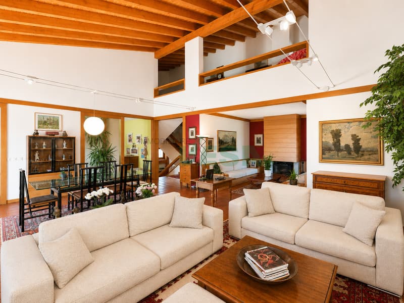 Ampia ed elegante villa signorile con molto spazio e con bella piscina (3)