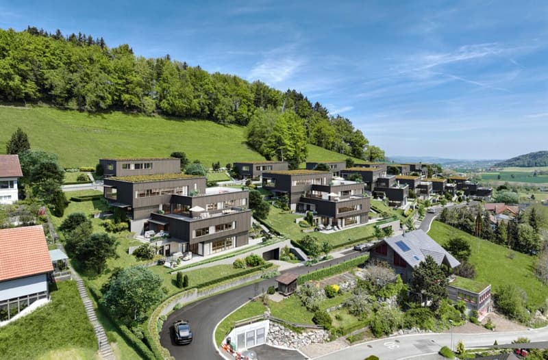Wohnen mit Panorama - luxuriöses Einfamilienhaus mit Bergsicht (1)