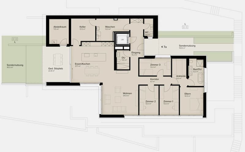 Traumhafte Fernsicht auf Alpstein mit Säntis und Churfirsten - 5.5-Zi.-Terrassenhaus (11)