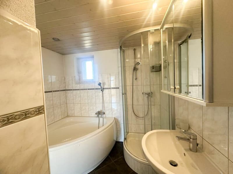 renovierte Wohnung mit Charme sucht neue Mieter! (8)