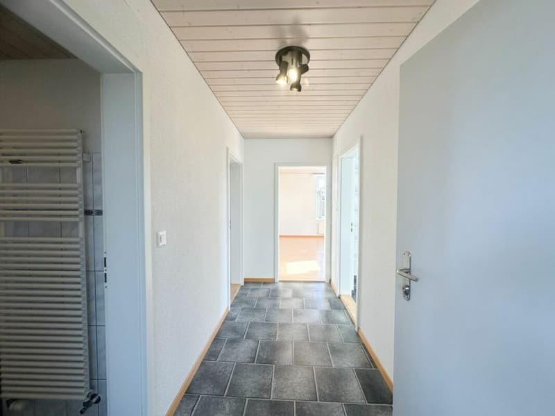 renovierte Wohnung mit Charme sucht neue Mieter! (6)