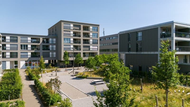 Heimkommen mit Aussicht - Wohnen über den Dächern des Blumenparks (2)
