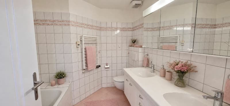 Traumhafte Attika-Wohnung (Maisonette) mit grosser Terrasse+Balkon und Abendsonne (7)