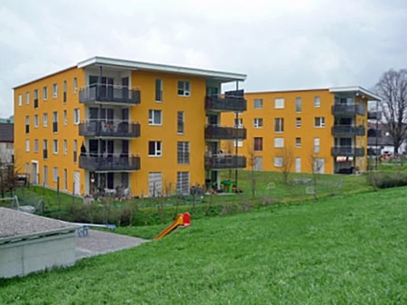 Attraktive 3½-Zimmer-Wohnung in Menziken (1)