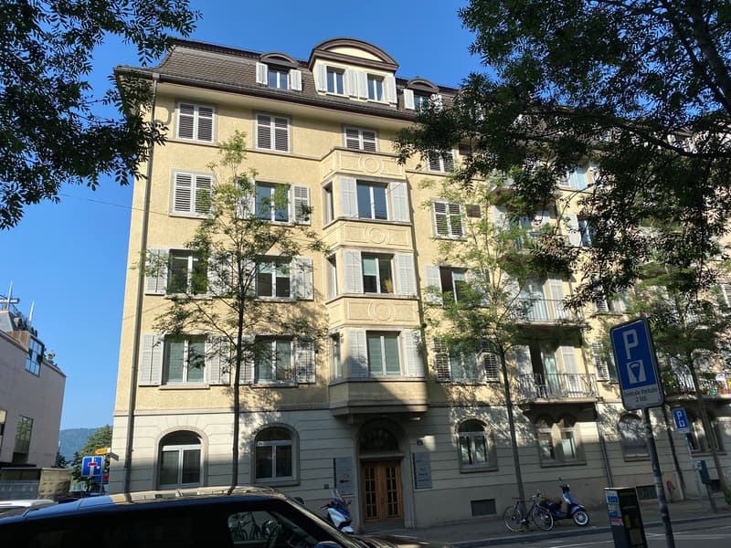 Zürichs beste Seiten erleben: 3.5-Zimmer-Wohnung mit Stil! (3)
