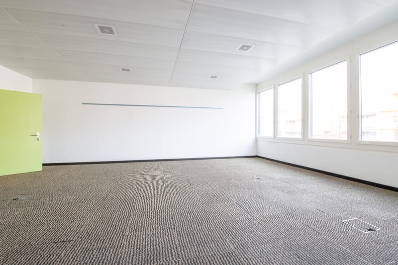 This image shows a large, empty office space with white walls, a carpeted floor, and several windows providing natural light. The room appears to be a blank canvas, ready to be furnished and utilized as an office or workspace.