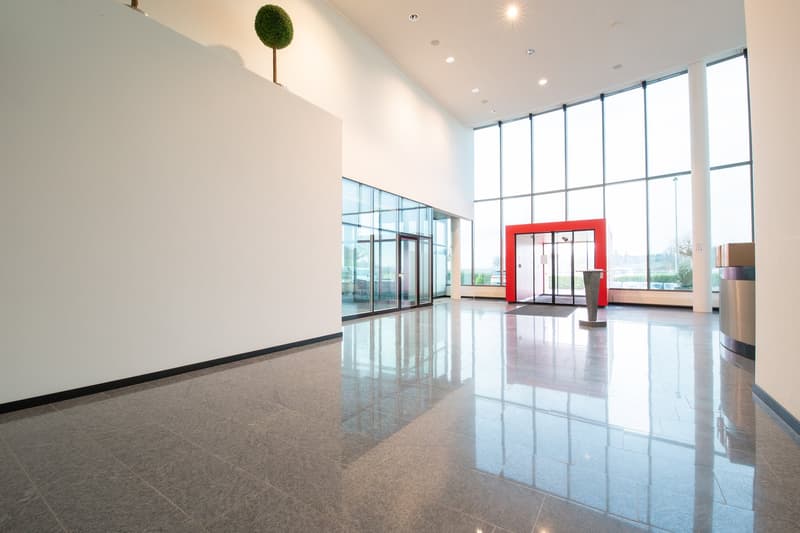 Large open lobby with high ceilings, glass walls, and a red accent wall. The floor is made of polished tiles, reflecting the bright lighting. A decorative moss ball is placed on a pedestal, adding a touch of greenery to the space.