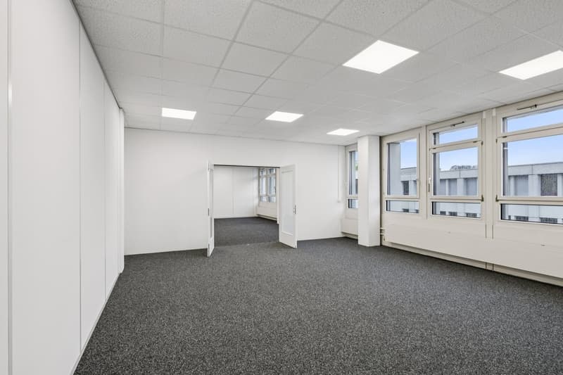 Empty room, white walls, grey carpet, white ceiling with square panels, double windows.