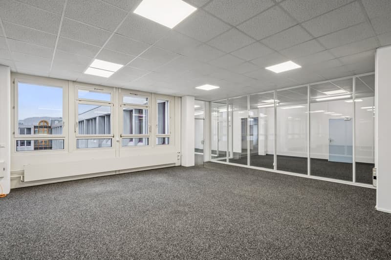 empty office space with glass walls, ceiling lights, and carpeted floor