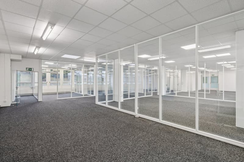 empty office with glass partitions, carpet flooring, large windows, multiple doors, modern ceiling design